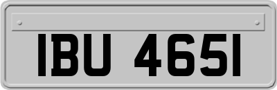 IBU4651