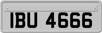 IBU4666