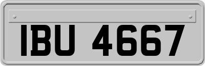 IBU4667