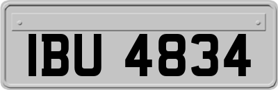 IBU4834