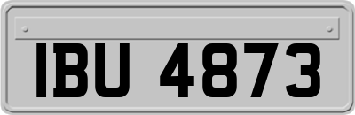 IBU4873