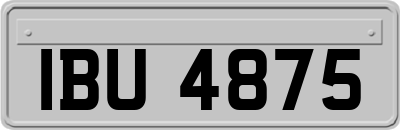 IBU4875