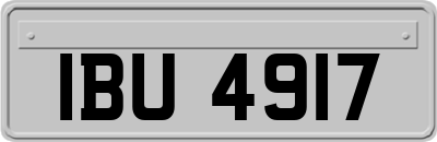IBU4917