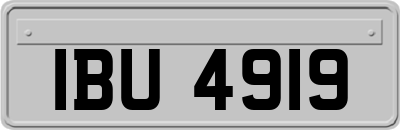 IBU4919