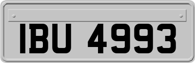 IBU4993
