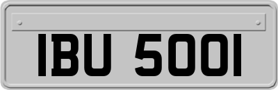 IBU5001