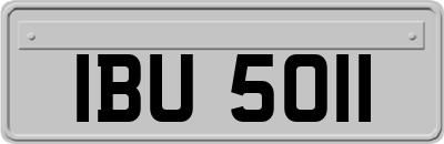 IBU5011