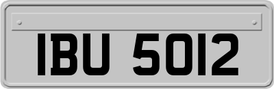 IBU5012