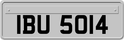 IBU5014