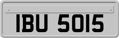 IBU5015