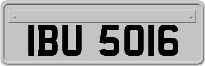 IBU5016