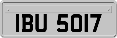 IBU5017