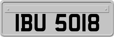 IBU5018