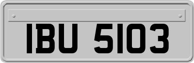 IBU5103