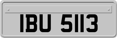 IBU5113