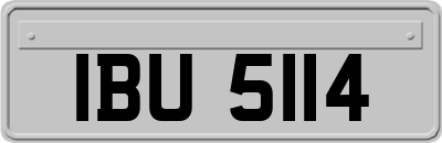 IBU5114
