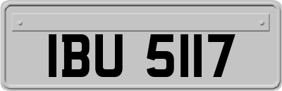IBU5117