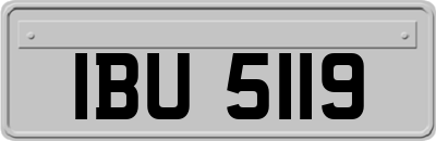 IBU5119