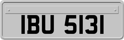 IBU5131