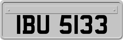 IBU5133
