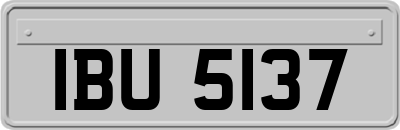 IBU5137