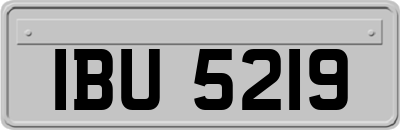 IBU5219
