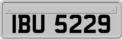 IBU5229