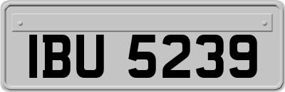 IBU5239