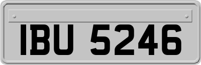 IBU5246