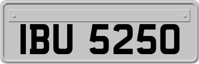IBU5250