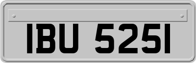 IBU5251