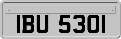 IBU5301