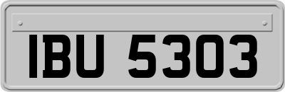 IBU5303