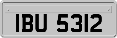 IBU5312