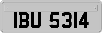 IBU5314