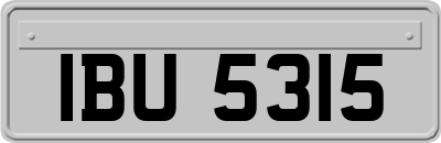 IBU5315