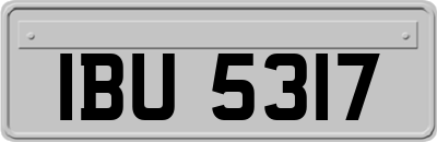 IBU5317