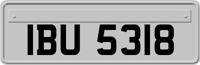 IBU5318