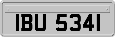 IBU5341