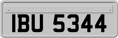 IBU5344