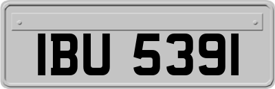 IBU5391