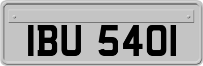 IBU5401