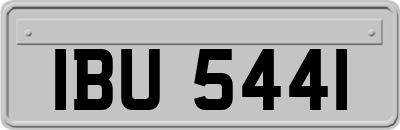 IBU5441
