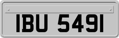 IBU5491