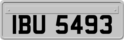 IBU5493