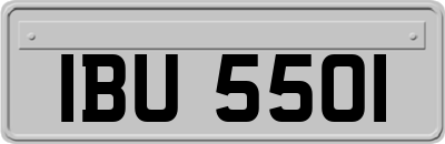 IBU5501