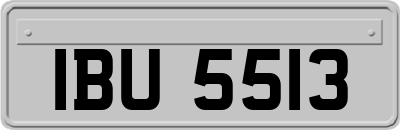 IBU5513