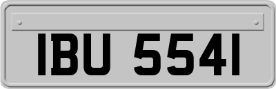 IBU5541