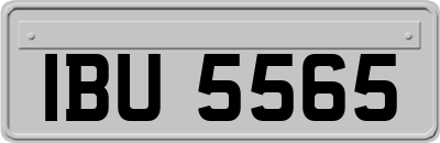 IBU5565