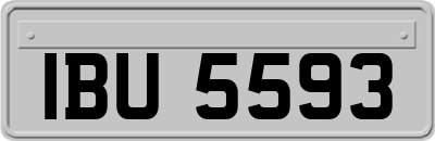 IBU5593